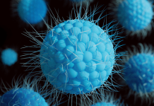 பாலிக்குச் செல்வதற்கு முன் Bali Belly பற்றி அறிவோம்!