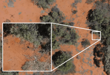 மிகப்பெரிய AI செயல்பாட்டின் மூலம் ஆஸ்திரேலியாவில் அரிய விண்கல் கண்டுபிடிப்பு