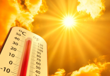 2025 ஆம் ஆண்டு மிகவும் வெப்பமான ஆண்டாக சாதனை