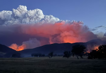 விக்டோரியா முழுவதும் பரவிவரும் காட்டுத்தீ – போராடும் தீயணைப்பு வீரர்கள்