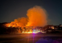 காட்டுத்தீயின் போது பகுதியில் கண்டெடுக்கப்பட்ட Longwood மனித உடல்