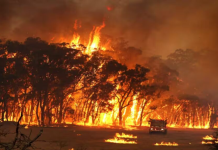 மேலும் 12 இடங்களில் தீவிரமாக பரவி வரும் விக்டோரியா காட்டுத்தீ