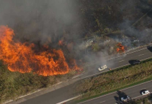 விக்டோரியாவில் வேகமாகப் பரவி வரும் காட்டுத்தீ