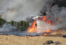 கடுமையான காட்டுத்தீ எச்சரிக்கைகளுக்கு மத்தியில் தீப்பிடித்து எரியும் விக்டோரியா