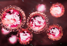 அடிலெய்டு குடியிருப்பாளர்களுக்கு சுகாதார அதிகாரிகள் விடுத்துள்ள அவசர எச்சரிக்கை